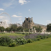 Paris | Blick vom Jardin des Tuileries auf das Louvre mit Riesenrad